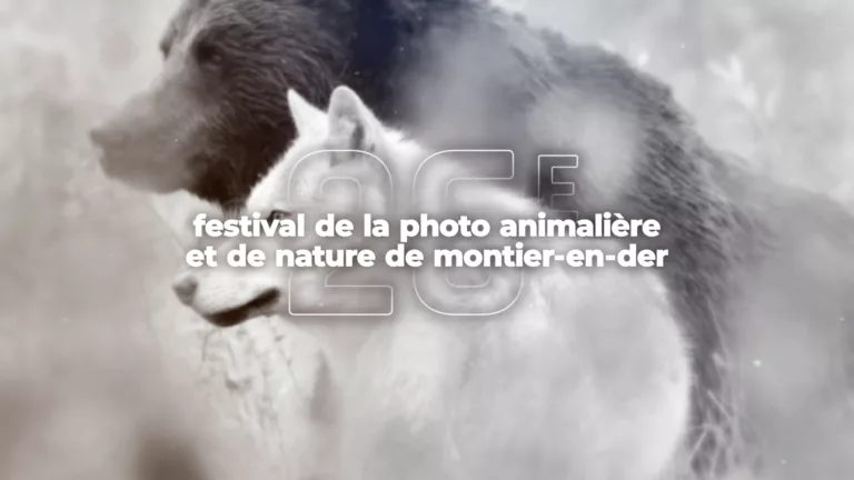 Émission spéciale – 26e festival de la photo animalière et de nature de Montier-en-Der