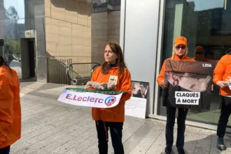 Une dame tient un cadavre de cochon