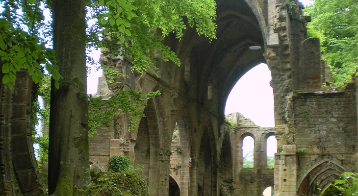 Ruines Abbaye des Trois-Fontaines