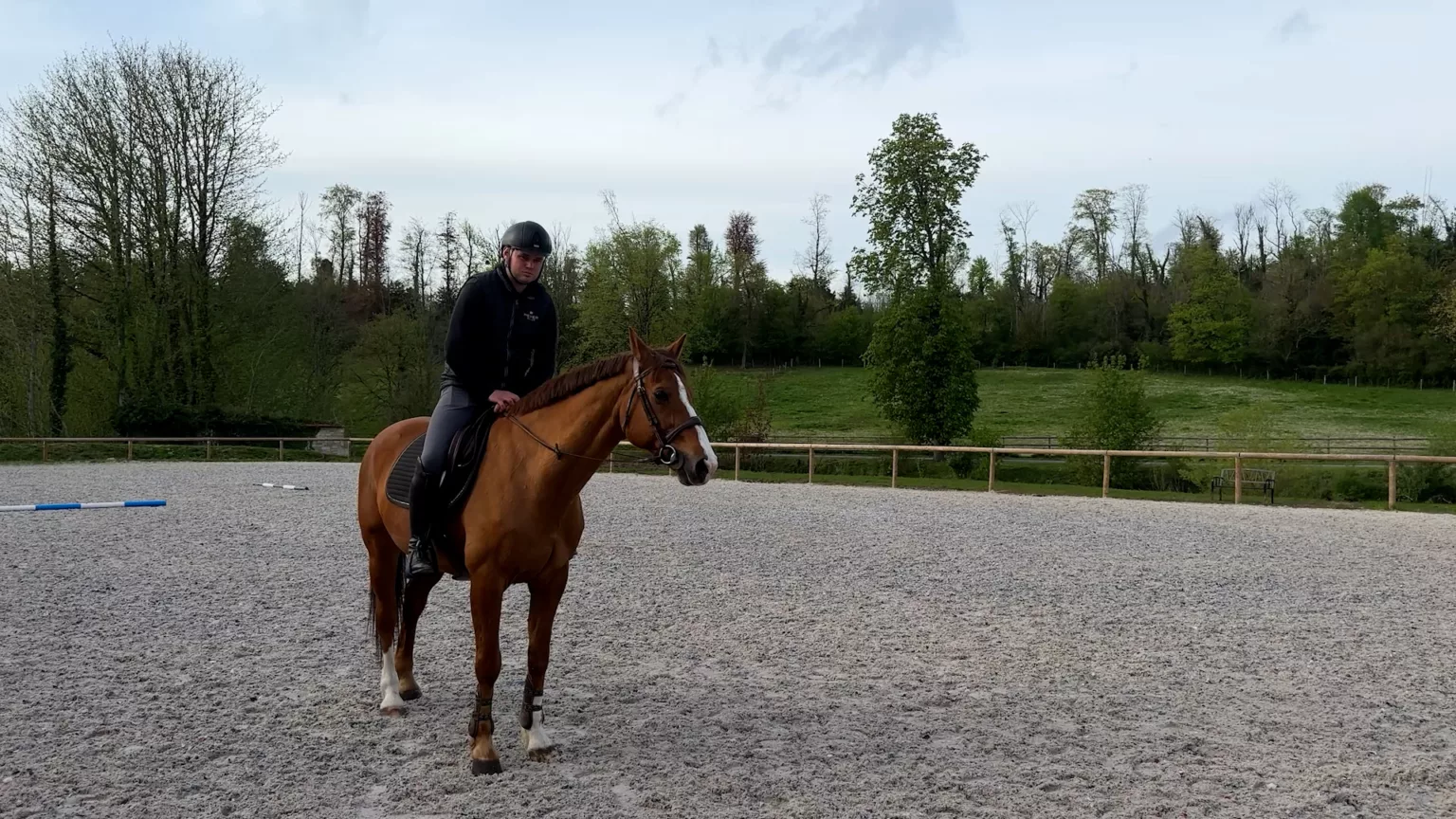 L’Isle-en-Rigault : Terre de chevaux