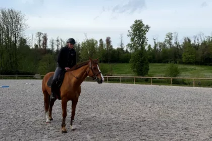 L’Isle-en-Rigault : Terre de chevaux