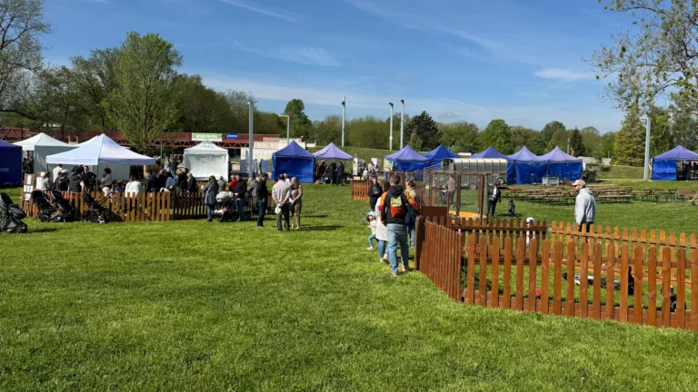 Nature en fête : Saint-Dizier met à l’honneur ses forêts et ses campagnes