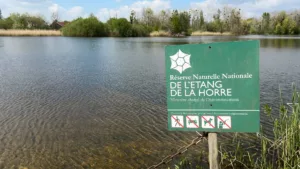 Panneau vert avec écrit en blanc réserve naturelle nationale de l'étang de la horre avec l'étang derrière