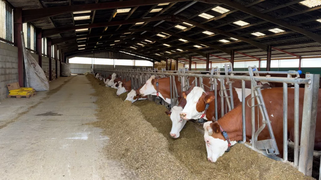 Des produits naturels de plus en plus répandus dans les élevages