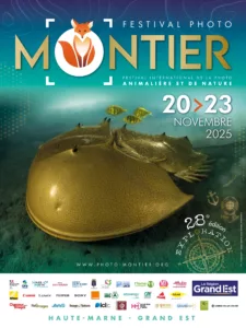 28ème édition du Festival Photo Montier