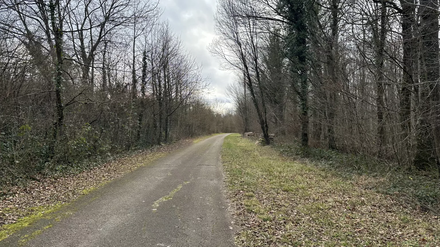 La marne renforce ses mesures