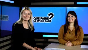 Chronique tv