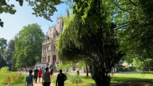 Bar-le-Duc : un sentier botanique pour découvrir une vingtaine d’essences