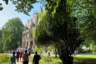 Bar-le-Duc : un sentier botanique pour découvrir une vingtaine d’essences