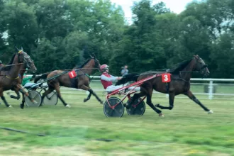 Du suspense, des cris et sept courses à l’hippodrome de Montier-en-Der