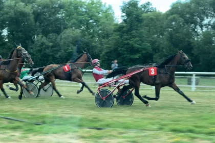 Du suspense, des cris et sept courses à l’hippodrome de Montier-en-Der
