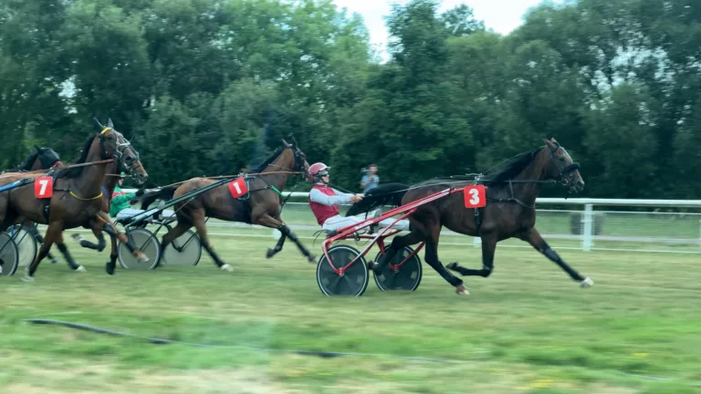 Du suspense, des cris et sept courses à l’hippodrome de Montier-en-Der