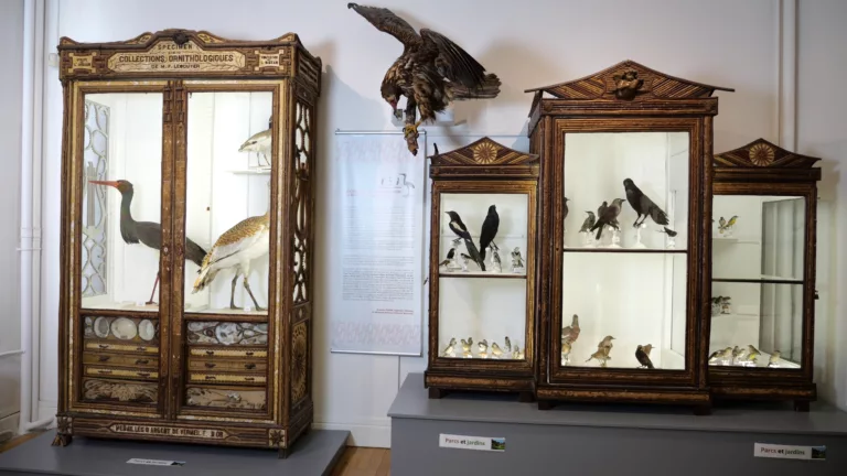 Territo’Art : Les vitrines de Jean-François Lescuyer