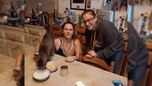 Le chat Mimile rejoint son foyer de Saint-Dizier