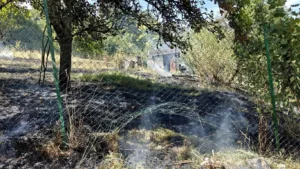 Incendie dans un jardin à Bar-le-Duc