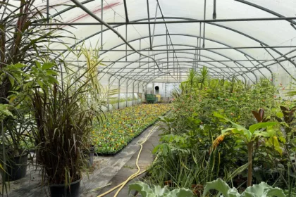 Bar-le-Duc : la pépinière communale se refait une beauté avant le début des nouvelles plantations
