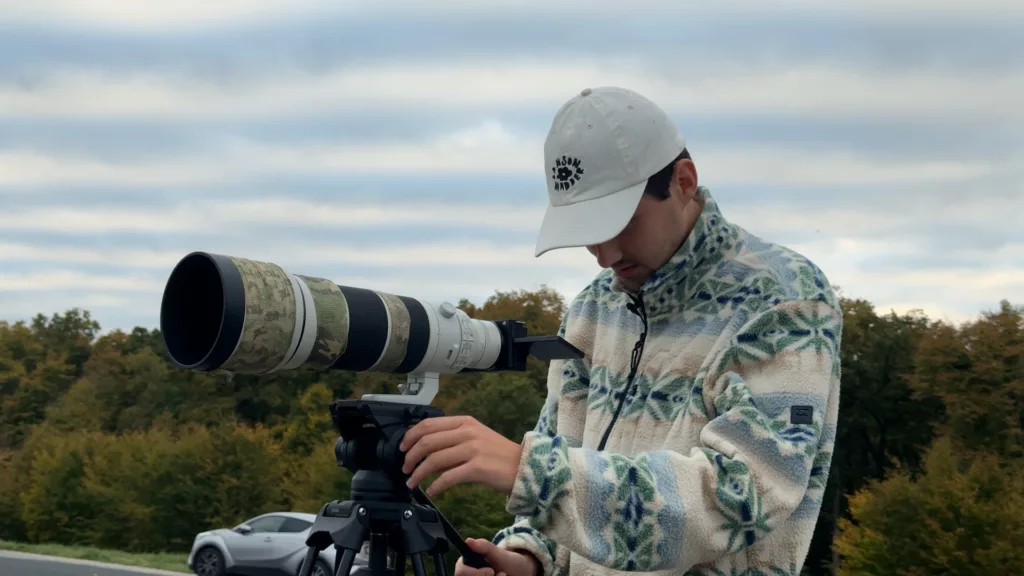 La grue cendrée, l’oiseau du lac du Der qui fascine les photographes