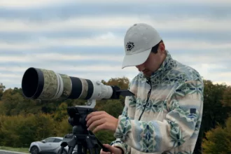 La grue cendrée, l’oiseau du lac du Der qui fascine les photographes