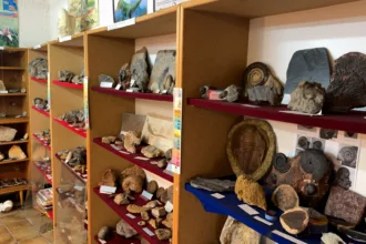 Des musées méconnus, qui racontent l’histoire du territoire