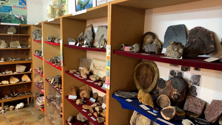 Des musées méconnus, qui racontent l’histoire du territoire