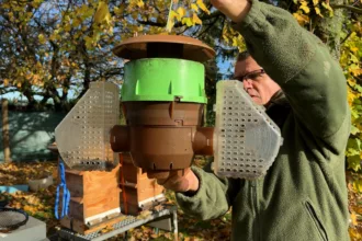 Les apiculteurs marnais déclarent la guerre aux frelons asiatiques