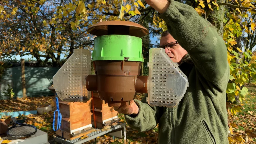 Les apiculteurs marnais déclarent la guerre aux frelons asiatiques