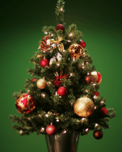 Gagnez votre mini sapin décoré !