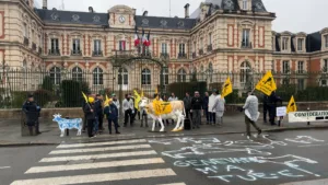 La dermatose nodulaire contagieuse au cœur d’une action des agriculteurs haut-marnais