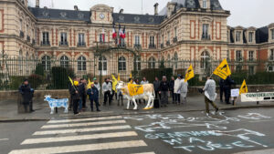 La dermatose nodulaire contagieuse au cœur d’une action des agriculteurs haut-marnais