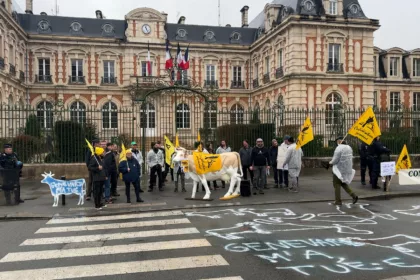 La dermatose nodulaire contagieuse au cœur d’une action des agriculteurs haut-marnais