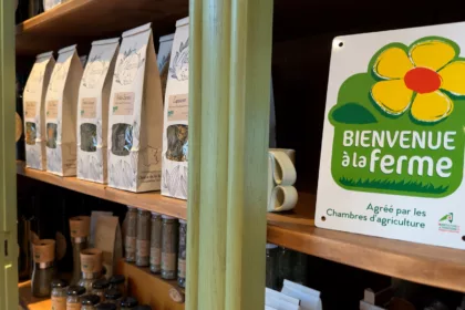 Un calendrier de l’avent pour mettre en avant les agriculteurs meusiens