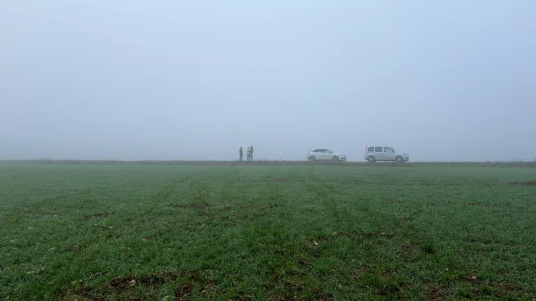 Des battues administratives autorisées pour continuer d'abattre le gibier en Meuse