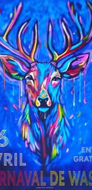 649661968_10236060122538237_9144659462263156879_n