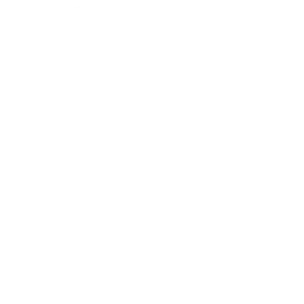 66b2249477a0cd88ddbbb982_cpmes