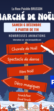 Affiche Annonce Fête de Noël Illustré Bleu Blanc Rouge_20251113_104715_0000