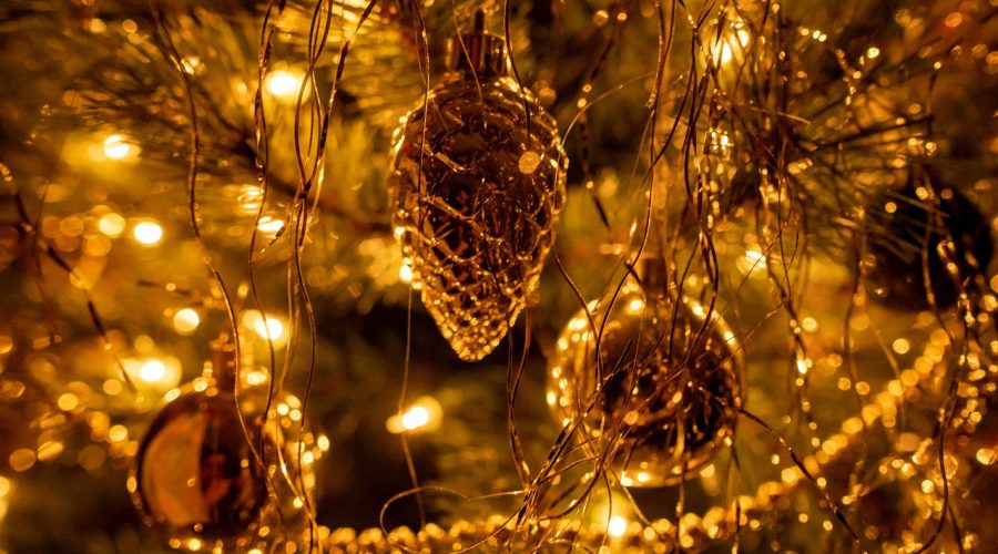 christmas-tree-6924746_1280