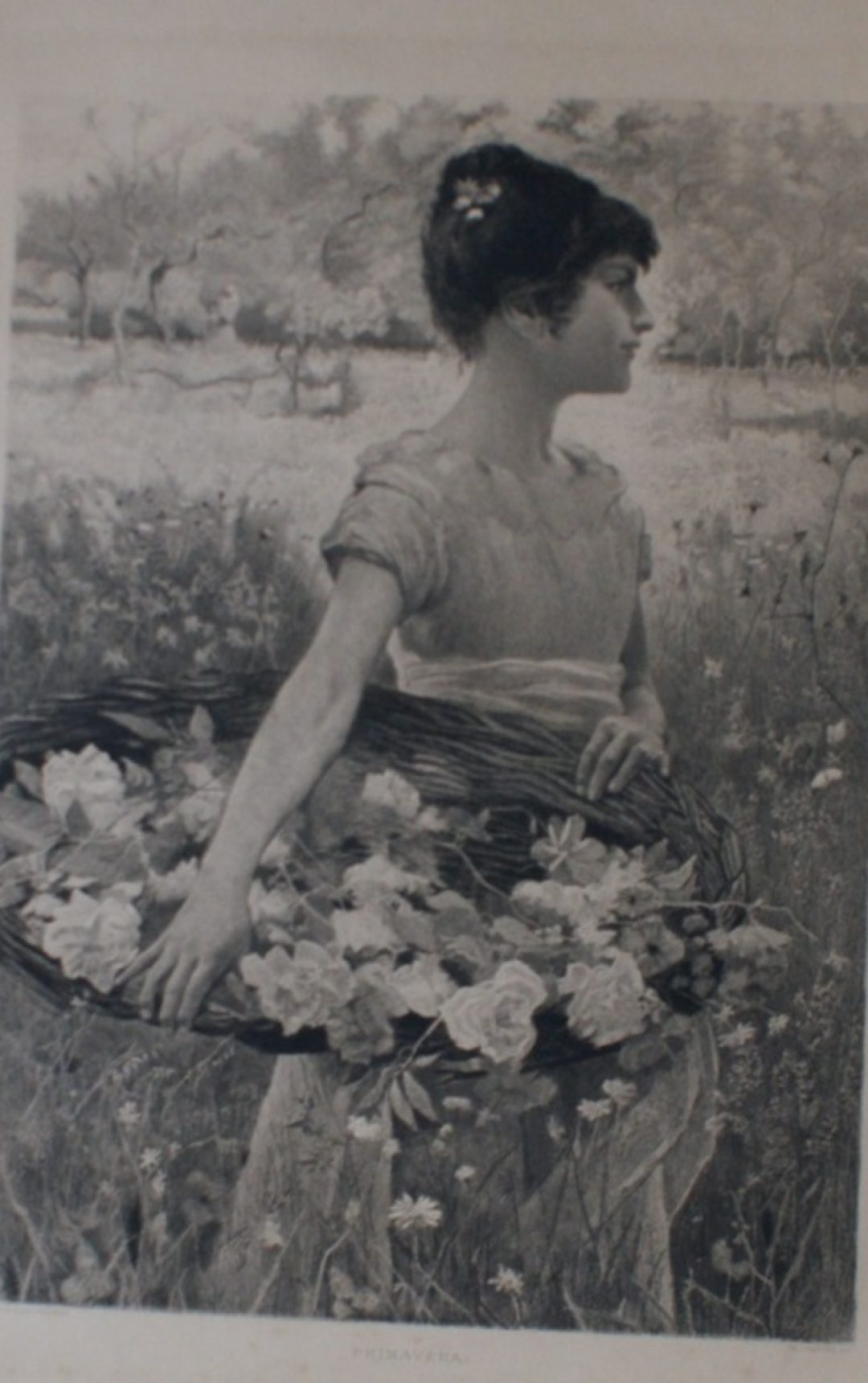 les dessous de l'art